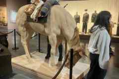 7a2c2679-674f-49d1-9b28-69ee03f24a2d